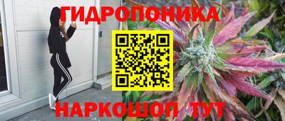 сатива Донской