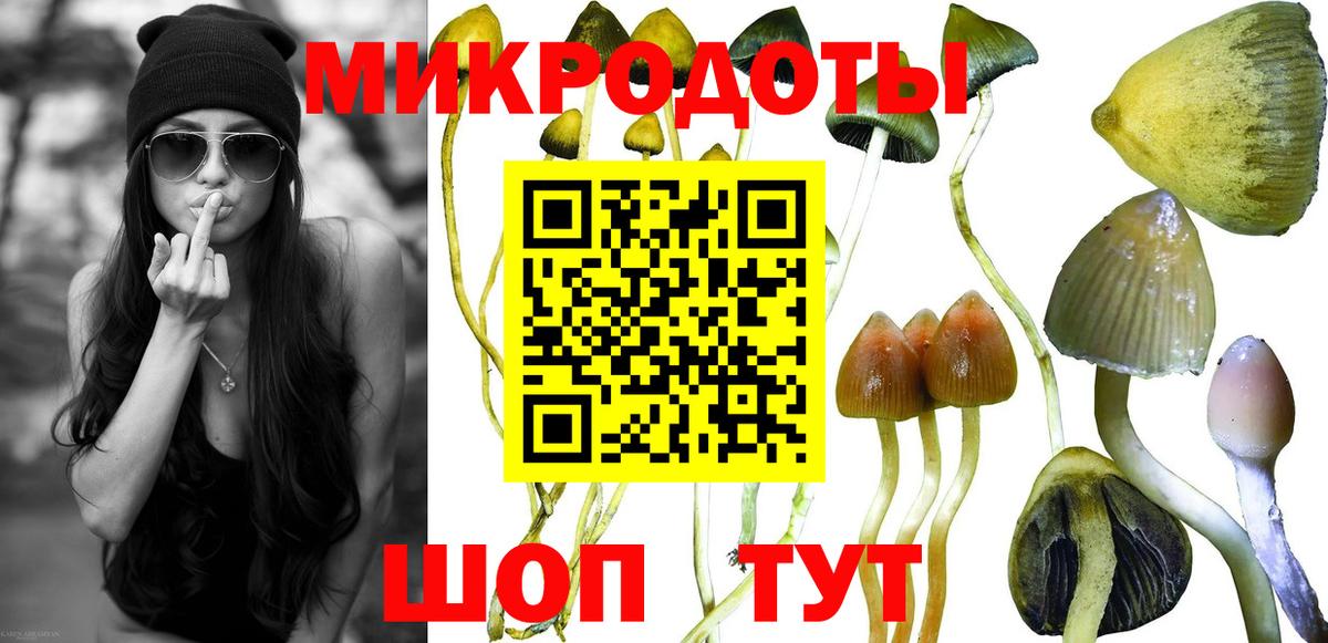 Псилоцибиновые грибы прущие грибы Мариинск